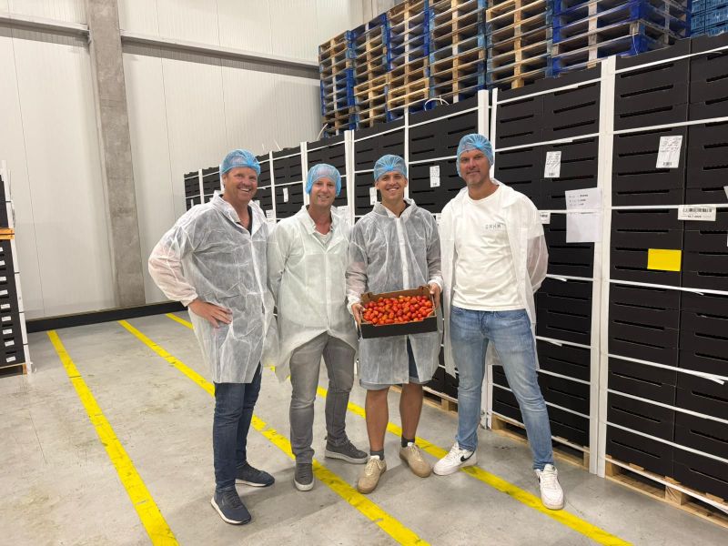 Callystar’s first snack tomatoes from Morocco have arrived at Growers United
